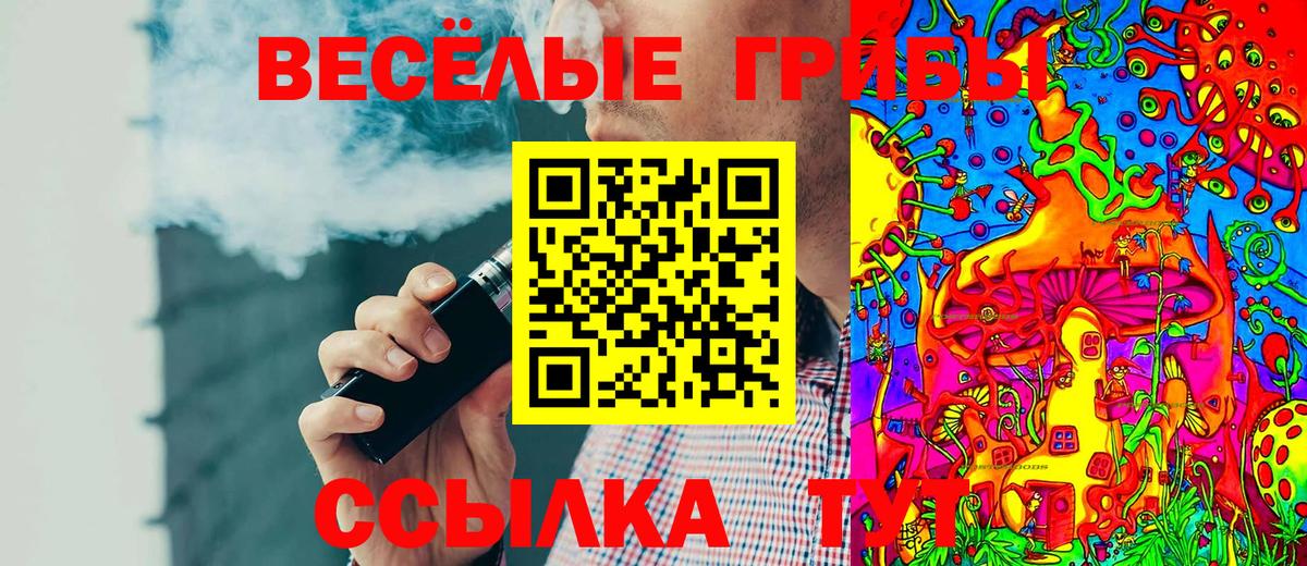 Псилоцибиновые грибы Cubensis  Вход с VPN  Псилоцибиновые грибы Psilocybe  цена наркотик  Черняховск 