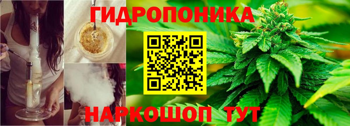 Канабис марихуана  Конопля семена  Конопля ГИДРОПОН  Конопля сатива  Черняховск  Вход с VPN 